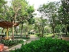 sang-nhuong-tang-tret-chinh-chu-block-d - ảnh nhỏ 3